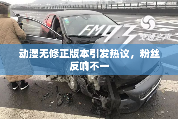 动漫无修正版本引发热议，粉丝反响不一