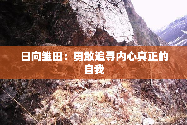 日向雏田：勇敢追寻内心真正的自我