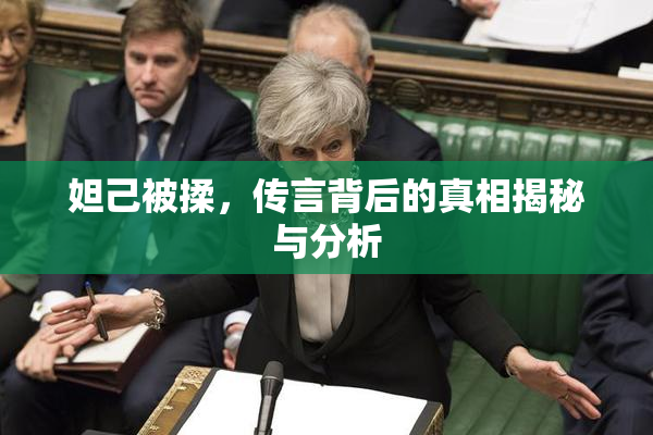 妲己被揉，传言背后的真相揭秘与分析