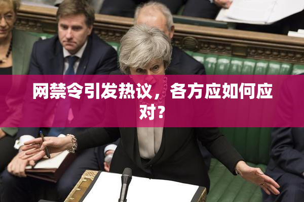 网禁令引发热议，各方应如何应对？