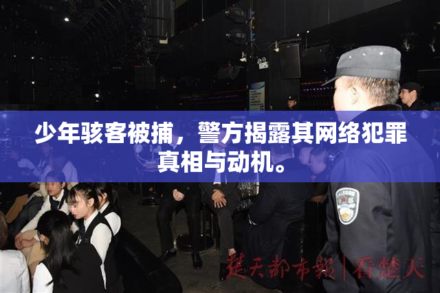 少年骇客被捕，警方揭露其网络犯罪真相与动机。