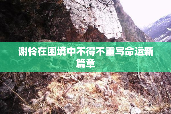谢怜在困境中不得不重写命运新篇章
