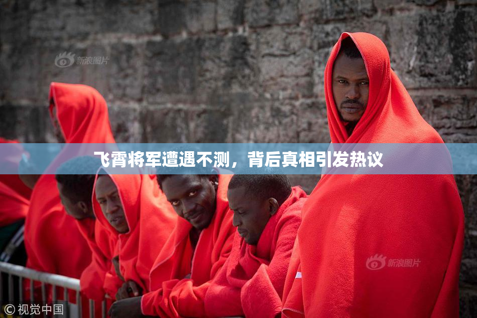 飞霄将军遭遇不测，背后真相引发热议