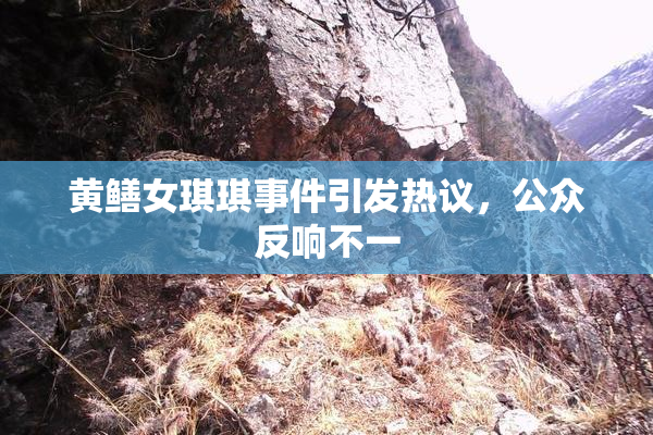 黄鳝女琪琪事件引发热议，公众反响不一