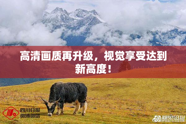 高清画质再升级，视觉享受达到新高度！