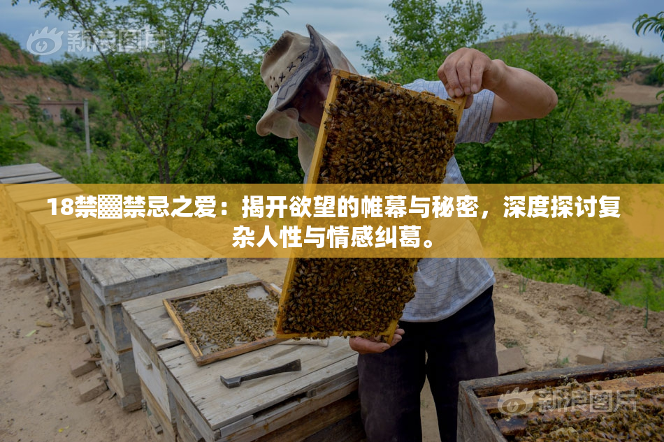 18禁▓禁忌之爱：揭开欲望的帷幕与秘密，深度探讨复杂人性与情感纠葛。