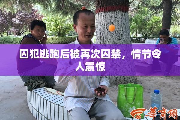 囚犯逃跑后被再次囚禁，情节令人震惊