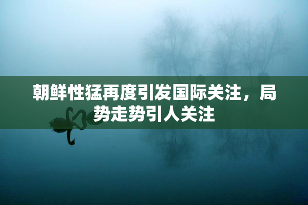 朝鲜性猛再度引发国际关注，局势走势引人关注