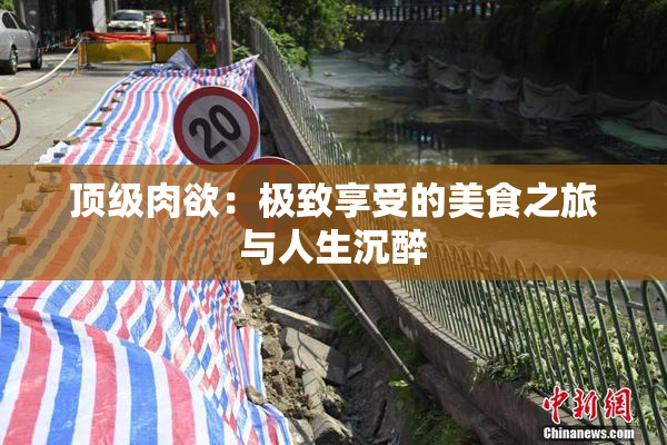 顶级肉欲：极致享受的美食之旅与人生沉醉