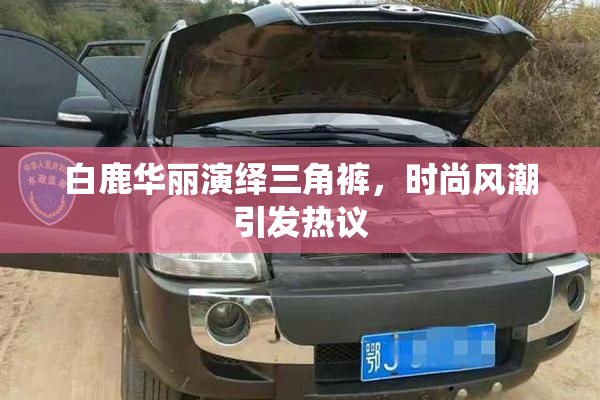 白鹿华丽演绎三角裤，时尚风潮引发热议