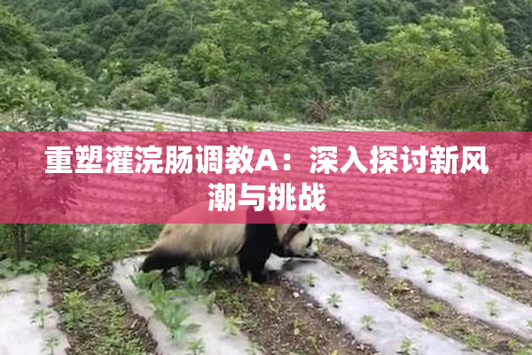 重塑灌浣肠调教A：深入探讨新风潮与挑战