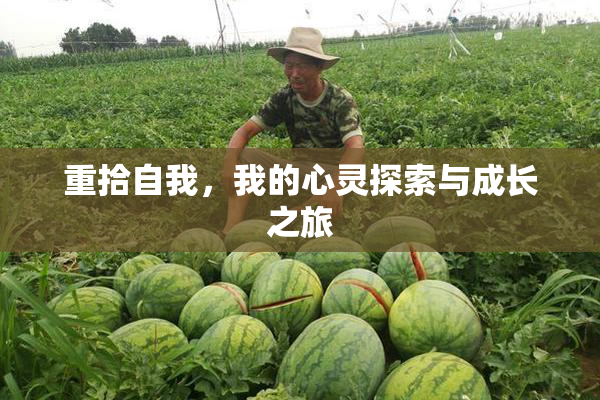 重拾自我，我的心灵探索与成长之旅