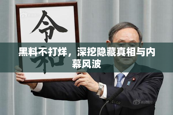 黑料不打烊，深挖隐藏真相与内幕风波