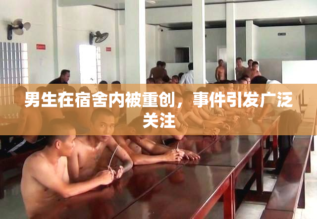 男生在宿舍内被重创，事件引发广泛关注