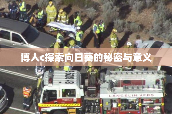 博人c探索向日葵的秘密与意义