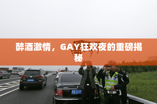 醉酒激情，GAY狂欢夜的重磅揭秘