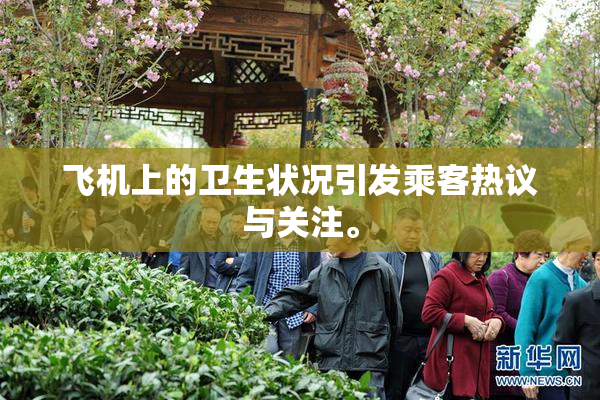 飞机上的卫生状况引发乘客热议与关注。