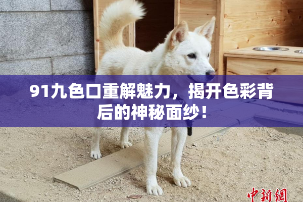 91九色口重解魅力，揭开色彩背后的神秘面纱！
