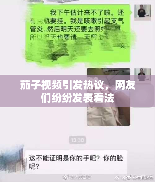 茄子视频引发热议，网友们纷纷发表看法
