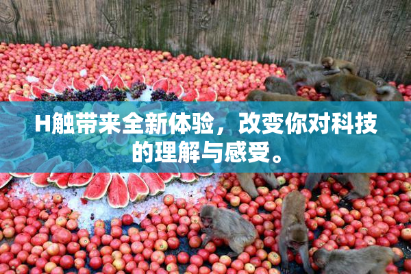 H触带来全新体验，改变你对科技的理解与感受。