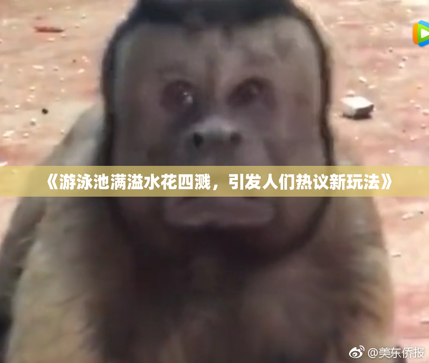 《游泳池满溢水花四溅，引发人们热议新玩法》