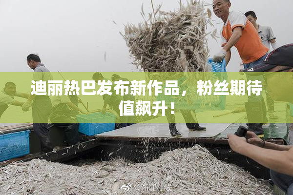 迪丽热巴发布新作品，粉丝期待值飙升！