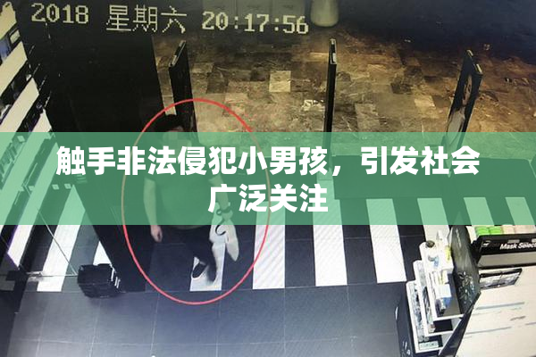 触手非法侵犯小男孩，引发社会广泛关注