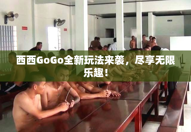 西西GoGo全新玩法来袭，尽享无限乐趣！