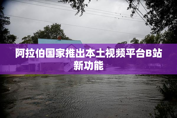 阿拉伯国家推出本土视频平台B站新功能