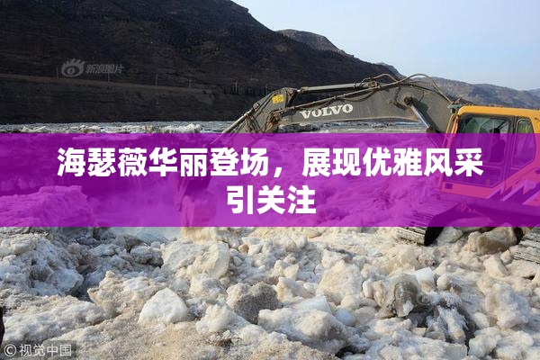 海瑟薇华丽登场，展现优雅风采引关注