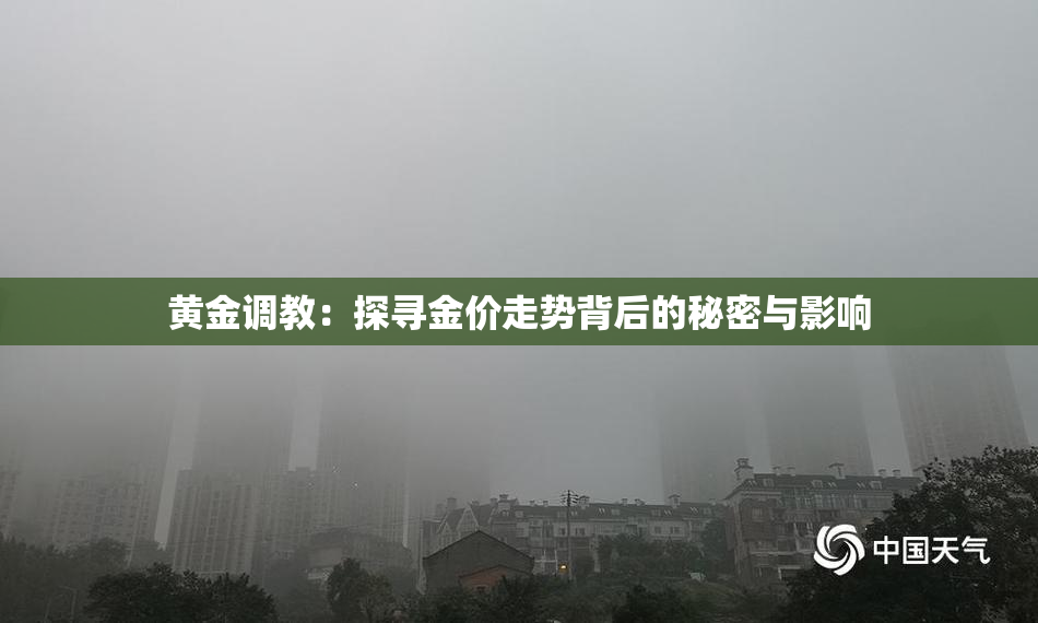 黄金调教：探寻金价走势背后的秘密与影响