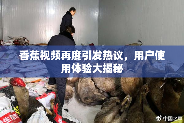 香蕉视频再度引发热议，用户使用体验大揭秘