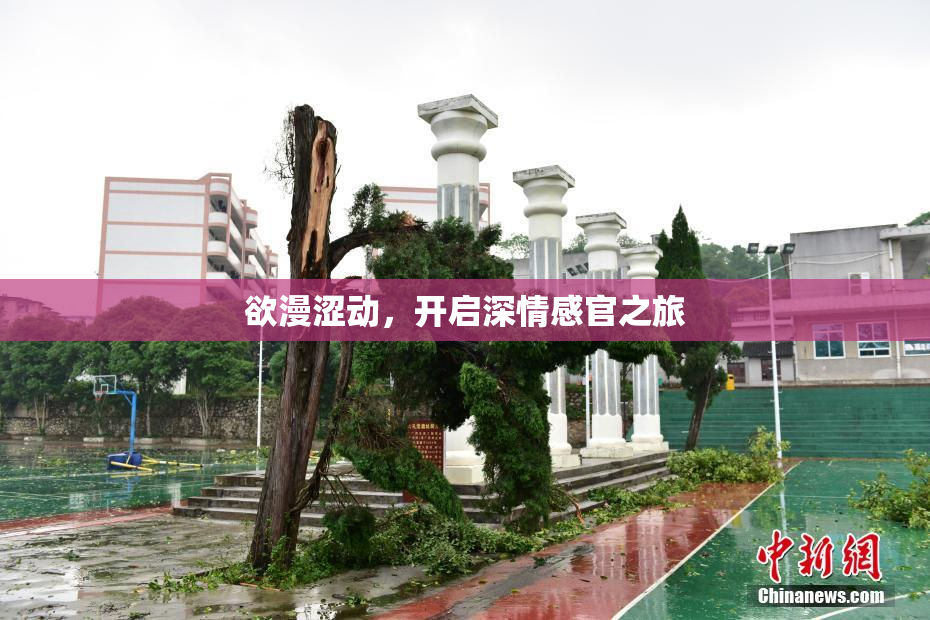 欲漫涩动，开启深情感官之旅