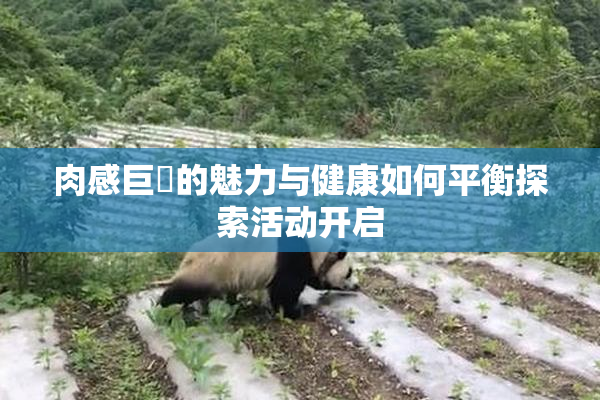 肉感巨凥的魅力与健康如何平衡探索活动开启