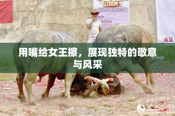 用嘴给女王擦，展现独特的敬意与风采