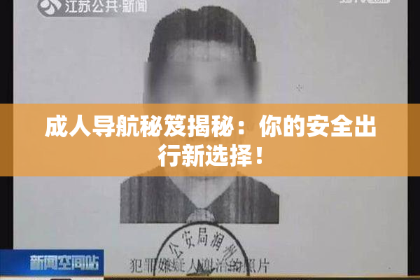 成人导航秘笈揭秘：你的安全出行新选择！