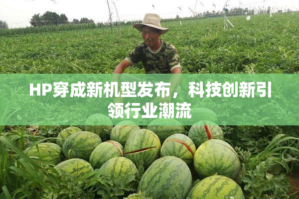 HP穿成新机型发布，科技创新引领行业潮流