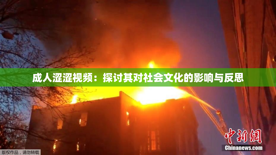 成人涩涩视频：探讨其对社会文化的影响与反思