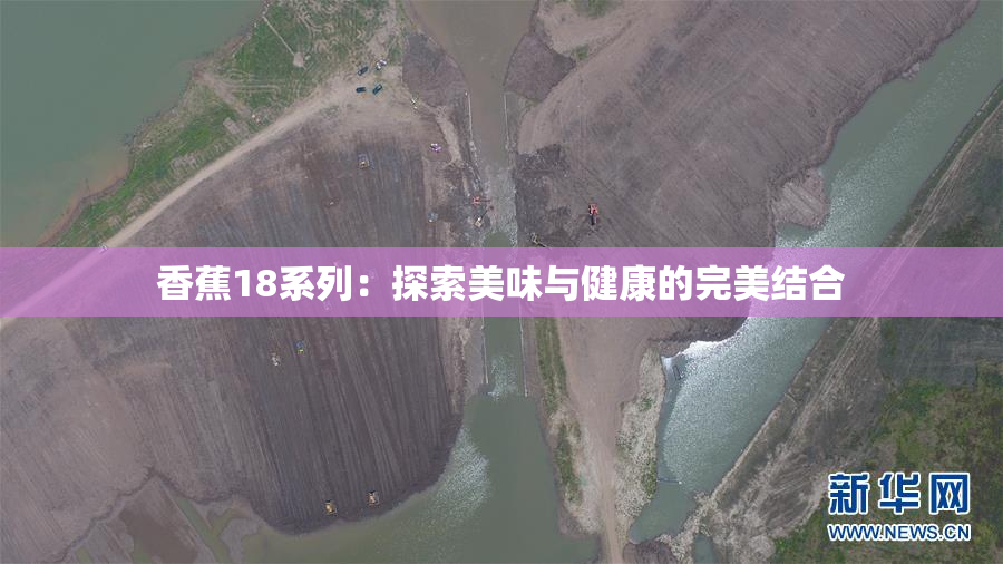 香蕉18系列：探索美味与健康的完美结合
