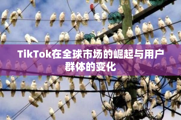 TikTok在全球市场的崛起与用户群体的变化
