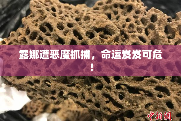 露娜遭恶魔抓捕，命运岌岌可危！
