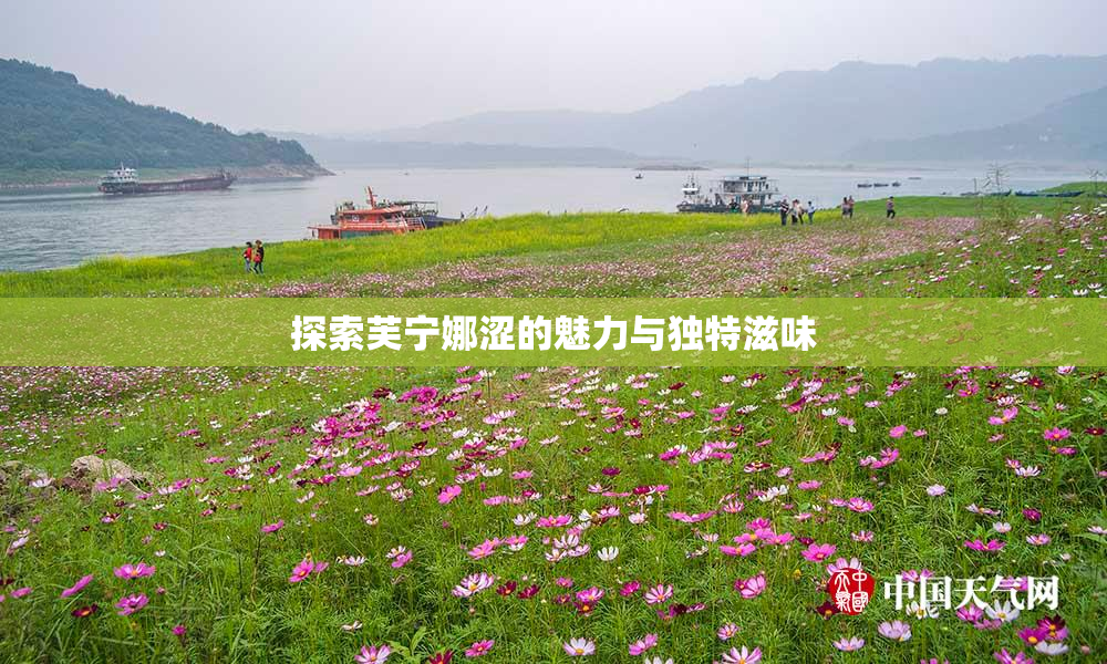 探索芙宁娜涩的魅力与独特滋味