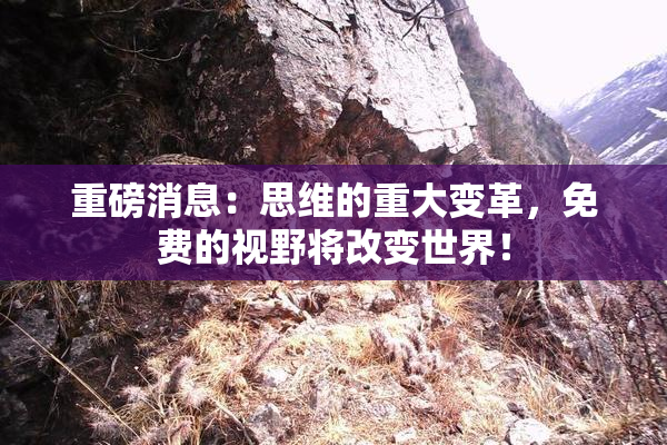 重磅消息：思维的重大变革，免费的视野将改变世界！