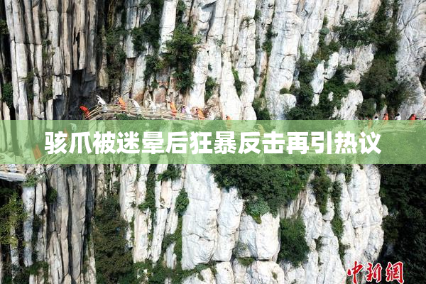骇爪被迷晕后狂暴反击再引热议