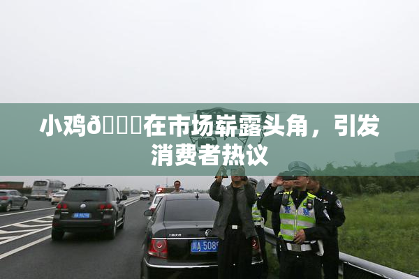 小鸡🐔在市场崭露头角，引发消费者热议