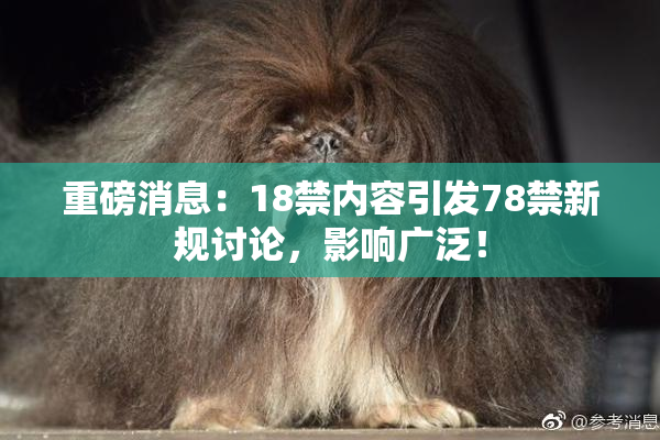 重磅消息：18禁内容引发78禁新规讨论，影响广泛！