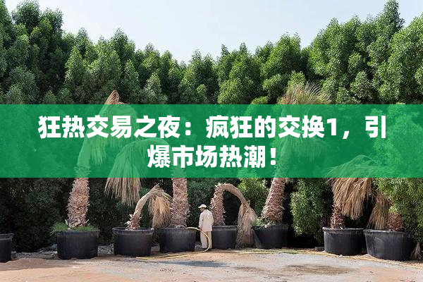 狂热交易之夜：疯狂的交换1，引爆市场热潮！