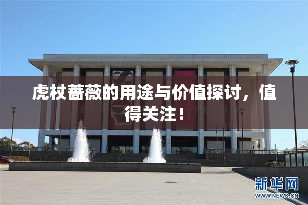 虎杖蔷薇的用途与价值探讨，值得关注！