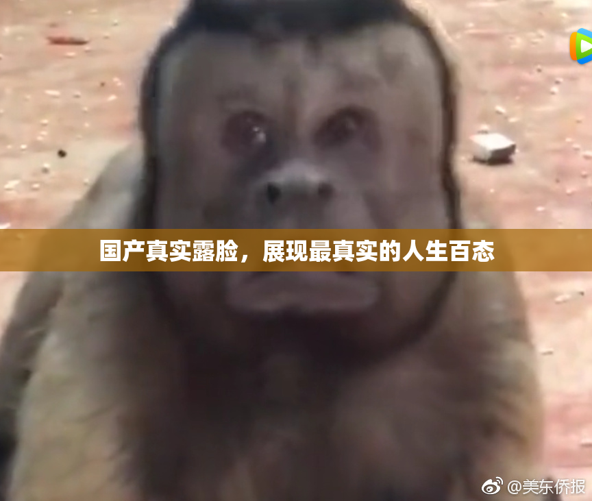 国产真实露脸，展现最真实的人生百态