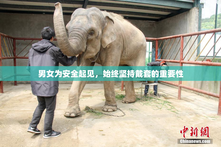 男女为安全起见，始终坚持戴套的重要性